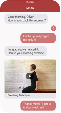 Smartphone preview