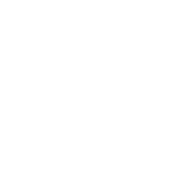 Testimony logo